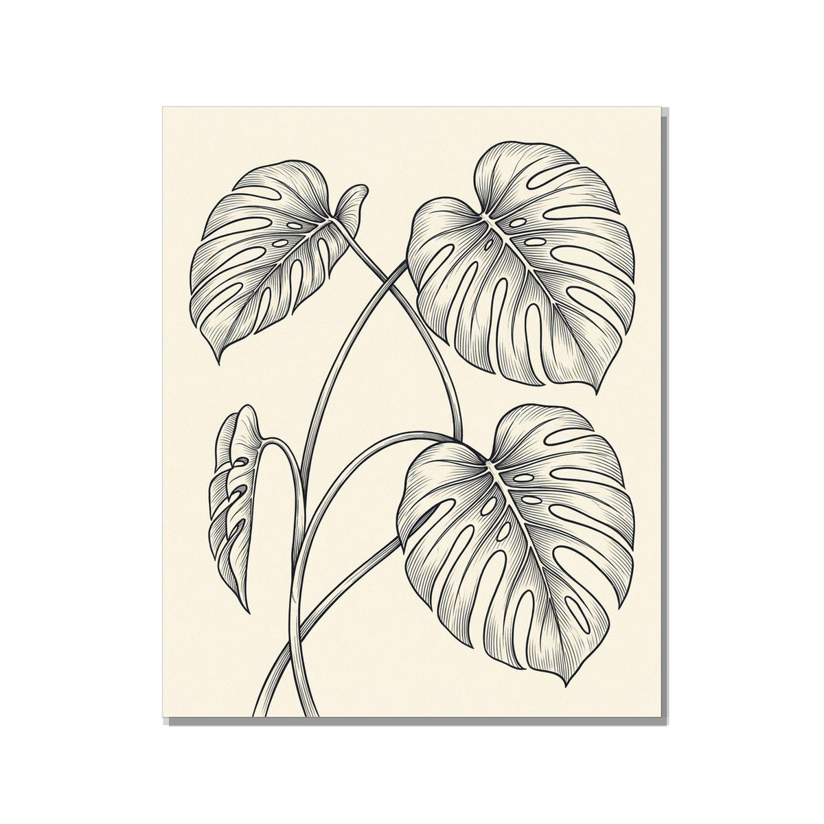 Toile Canvas Monstera Décoration Murale Bohème