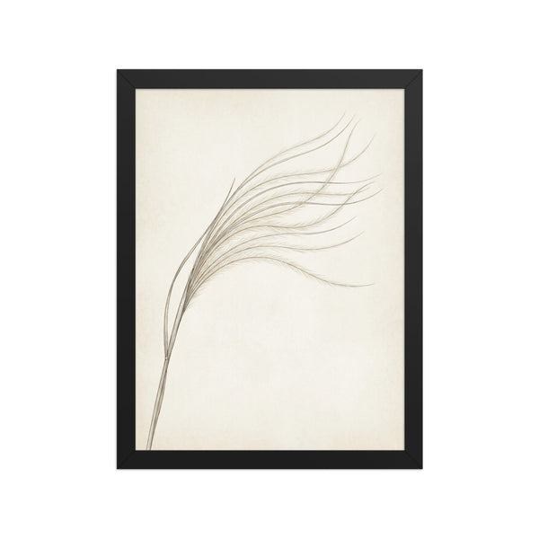 Affiche botanique encadrée minimaliste – Stipa