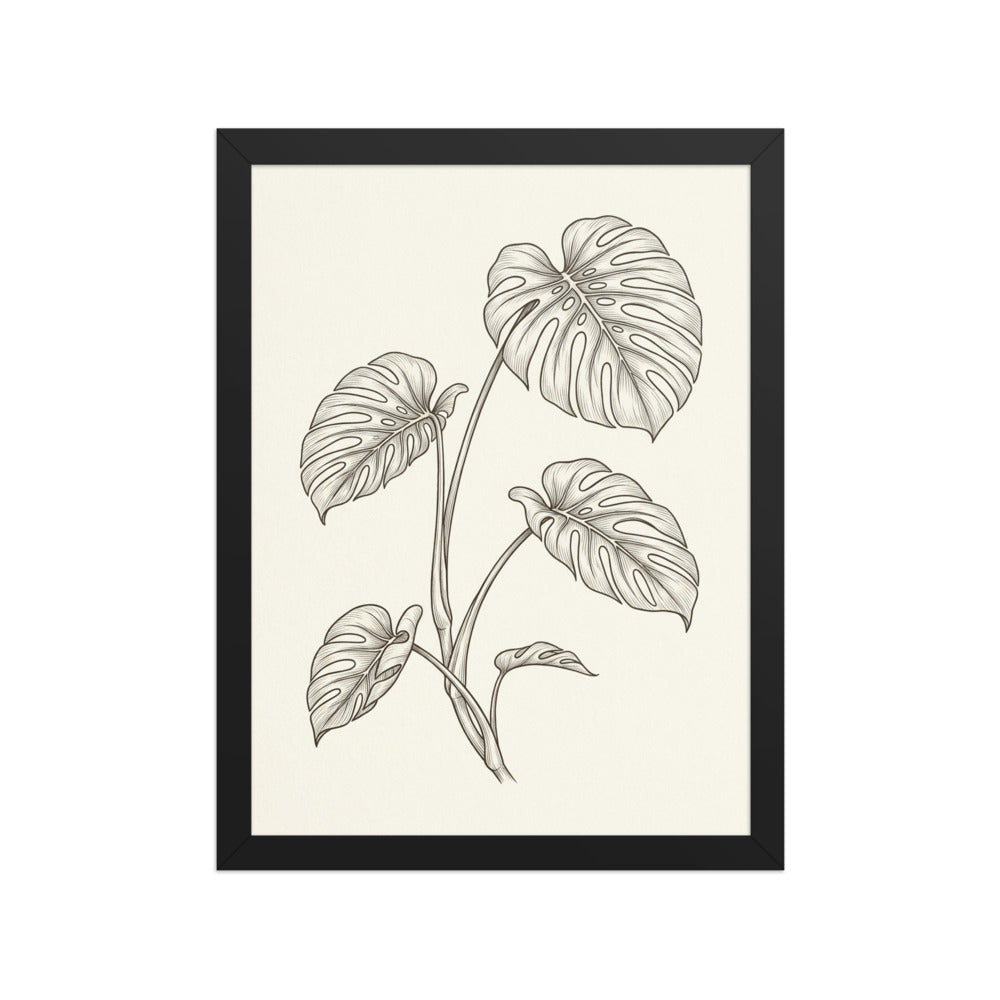 Poster encadré illustration botanique minimaliste – Monstera