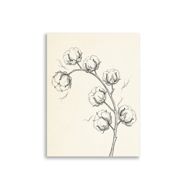 Poster Mural Botanique Noir et Blanc – Coton Sauvage