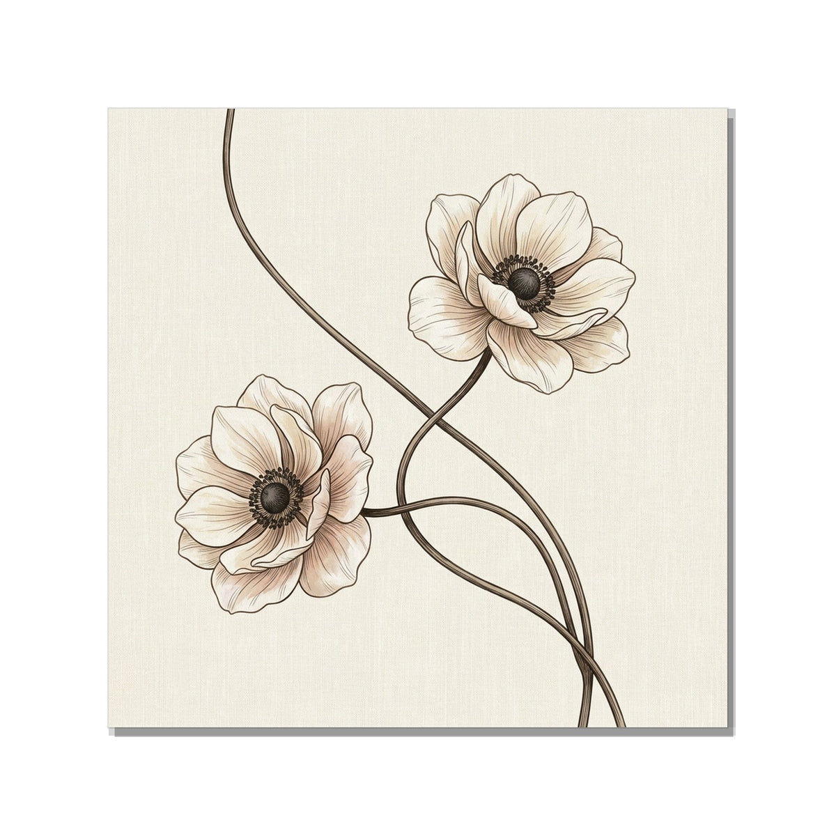 Affiche botanique anémone – Toile giclée