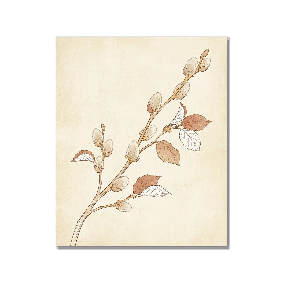 Toile canvas 40×60 cm – illustration botanique minimaliste d'une branche de noisetier aux chatons duveteux, lignes fines, palette beige et terracotta sur fond parchemin, prête à accrocher