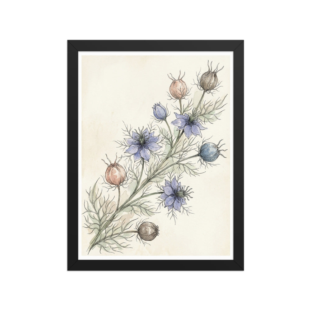Poster encadré illustration botanique 30x40 représentant une branche de nigelle de Damas aquarelle bleu-violet sur fond ivoire, cadre bois naturel, fond blanc studio