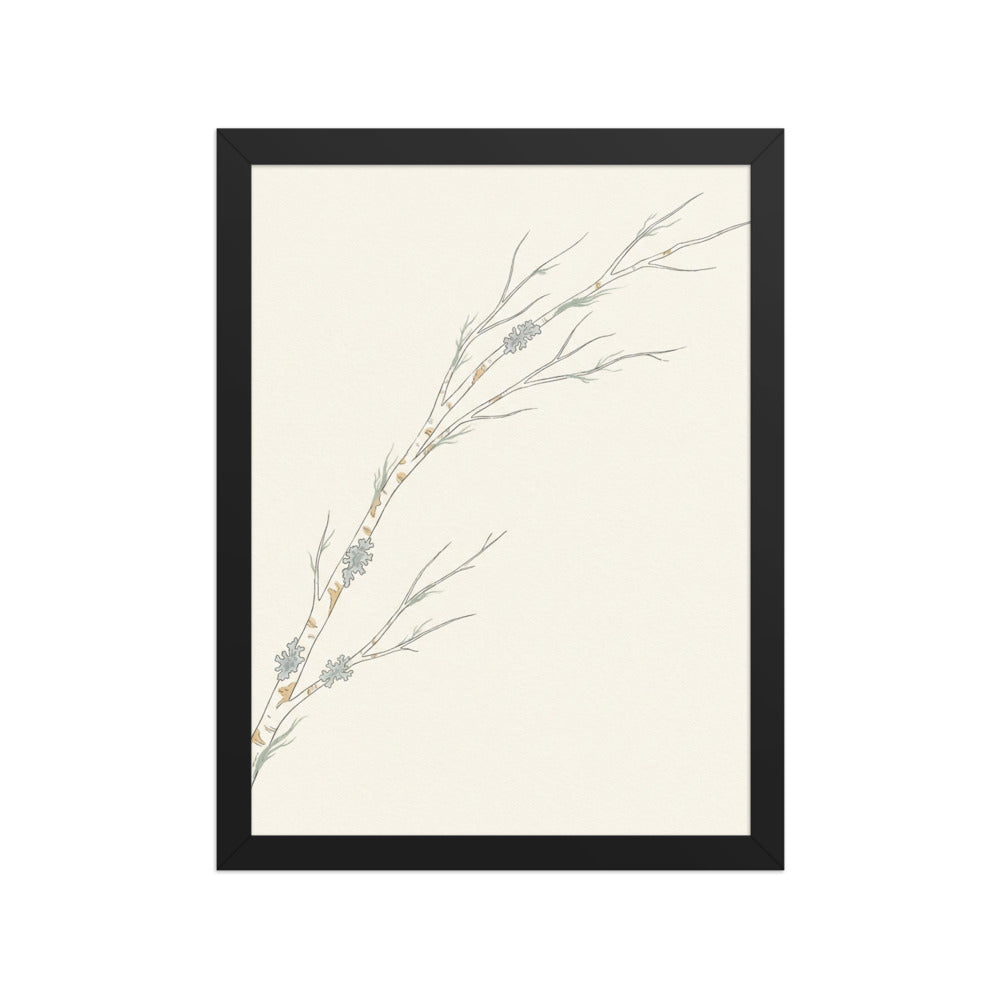 Poster encadré zen nature minimaliste représentant une branche de bouleau blanc avec lichens, impression giclée sur papier mat galerie, cadre bois 30×40 cm, fond blanc studio