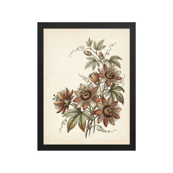 Tableau décoratif fleurs passiflore – gravure botanique vintage terracotta et ivoire, cadre bois 30×40 cm, fond blanc