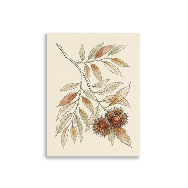 Affiche botanique châtaignier en illustration linéaire fine, branche aux feuilles dentelées et bogues épineuses sur fond crème, palette terracotta et vert sauge – format 30×40 cm, papier mat galerie