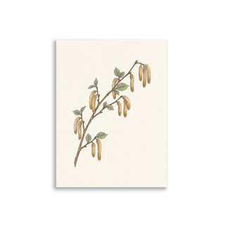 Affiche botanique minimaliste – Branche de noisetier