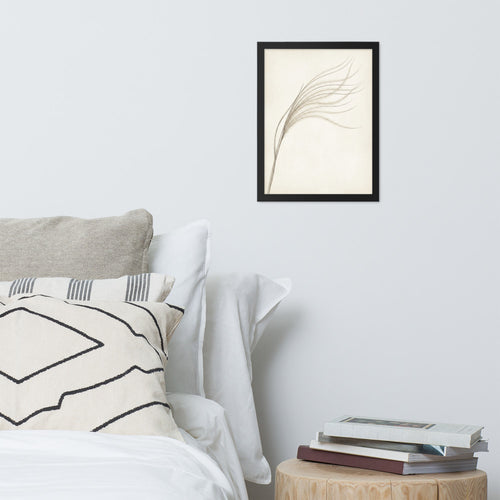 Affiche botanique encadrée minimaliste – Stipa