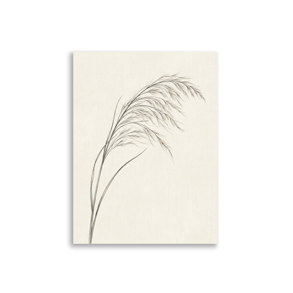 Affiche graminée décoration murale – Stipa 30×40