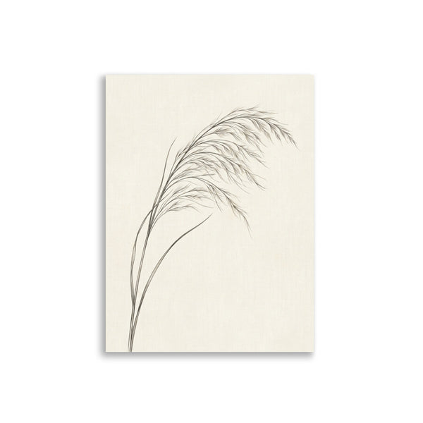 Affiche graminée décoration murale – Stipa 30×40