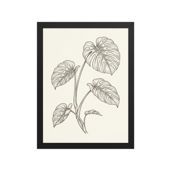 Poster encadré illustration botanique minimaliste – Monstera