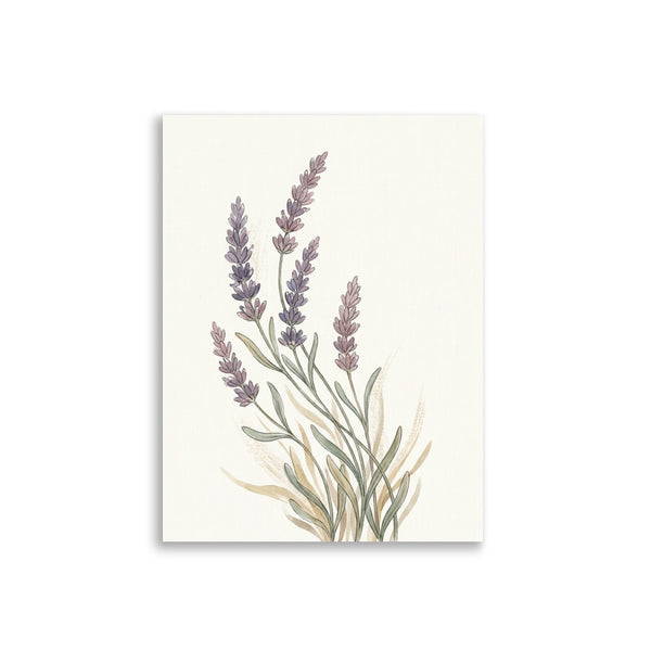 Affiche Botanique Lavande Aquarelle – Bohème Scandinave