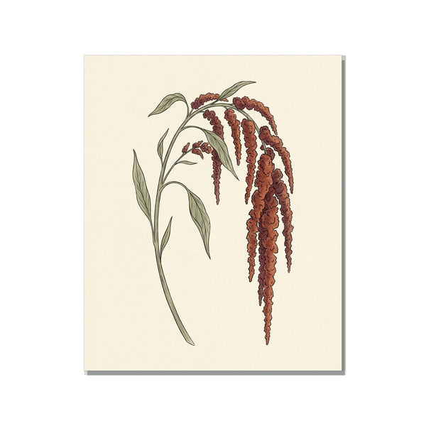 Toile Décorative Botanique Minimaliste – Amarante