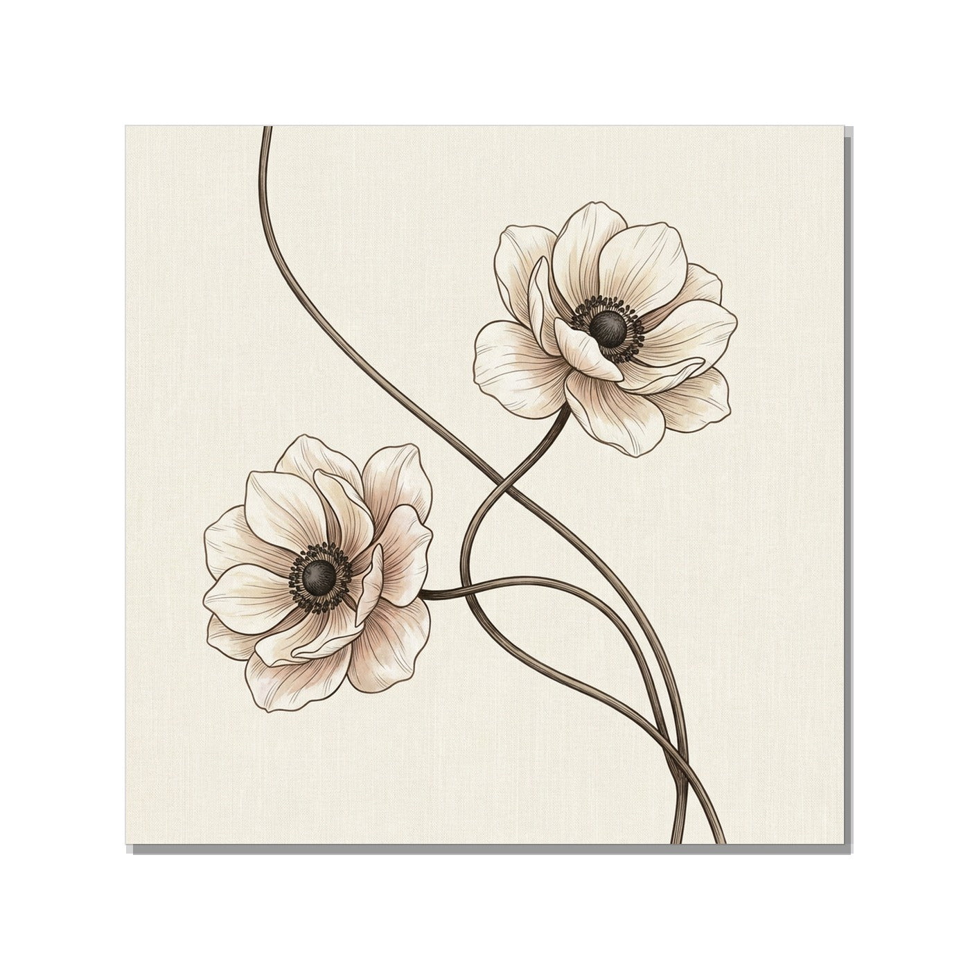 Affiche botanique anémone – Toile giclée