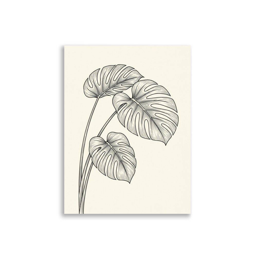 Poster Monstera Deliciosa Minimaliste – Encre Noire Ivoire