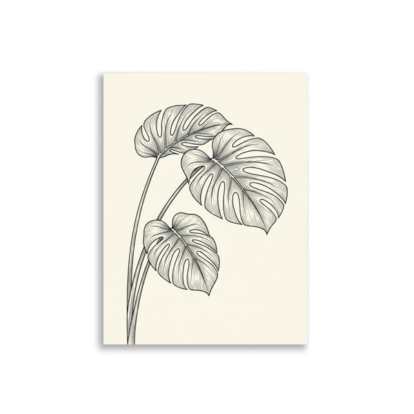 Poster Monstera Deliciosa Minimaliste – Encre Noire Ivoire