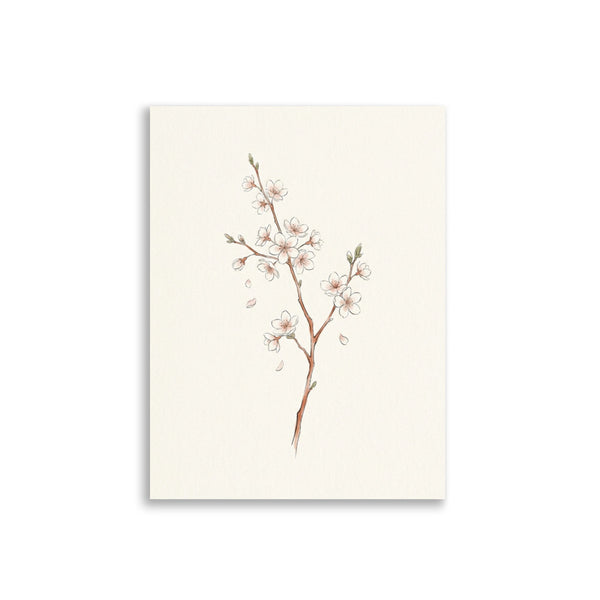 Affiche Sakura Minimaliste – Branche Cerisier Zen