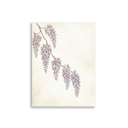 Affiche Botanique Glycine Aquarelle – Poster