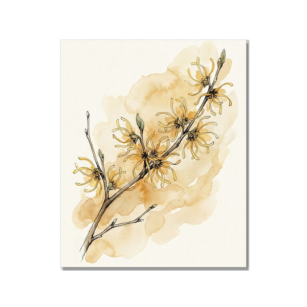 Toile décorative botanique minimaliste représentant une branche d'hamamélis aux fleurs dorées filiformes, impression giclée sur toile canvas 40×60 cm, fond blanc studio