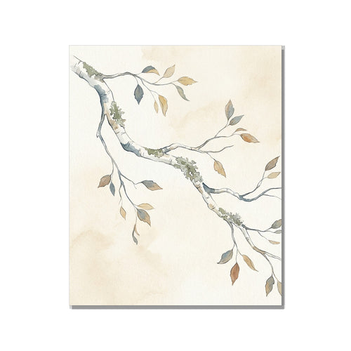 Toile canvas 40×60 cm – affiche botanique bouleau blanc avec lichens, impression giclée sur fond blanc studio