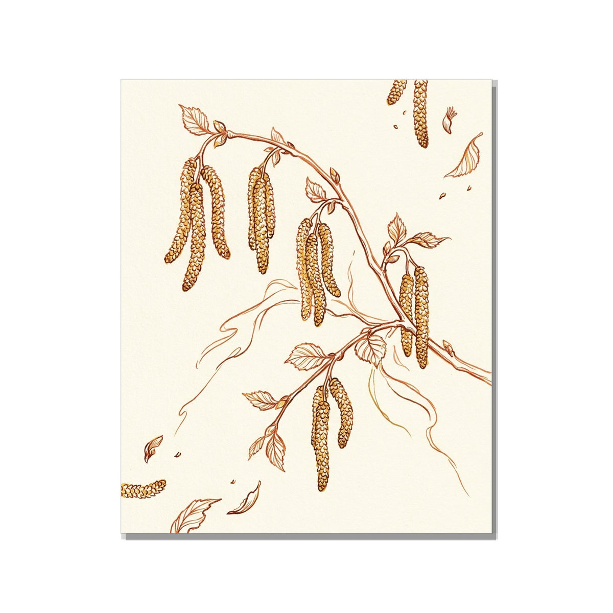 Tableau botanique bohème salon – branche de noisetier aux chatons dorés, linework terracotta et ocre sur fond blanc cassé, toile canvas 40×60 cm prête à accrocher