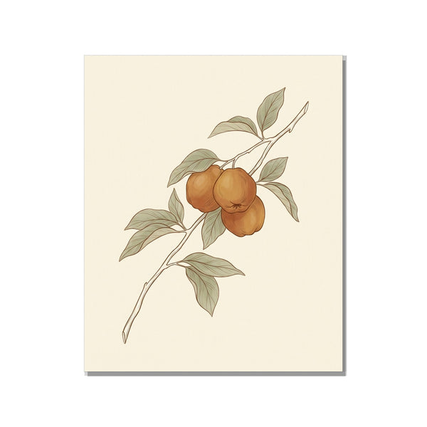 Toile décorative botanique minimaliste représentant une branche de cognassier aux fruits dorés, trait fin brun argile sur fond crème, format 40×60 cm sur fond blanc