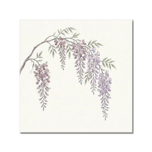 Affiche Botanique Minimaliste Wisteria | Toile