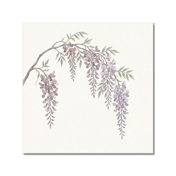 Affiche Botanique Minimaliste Wisteria | Toile