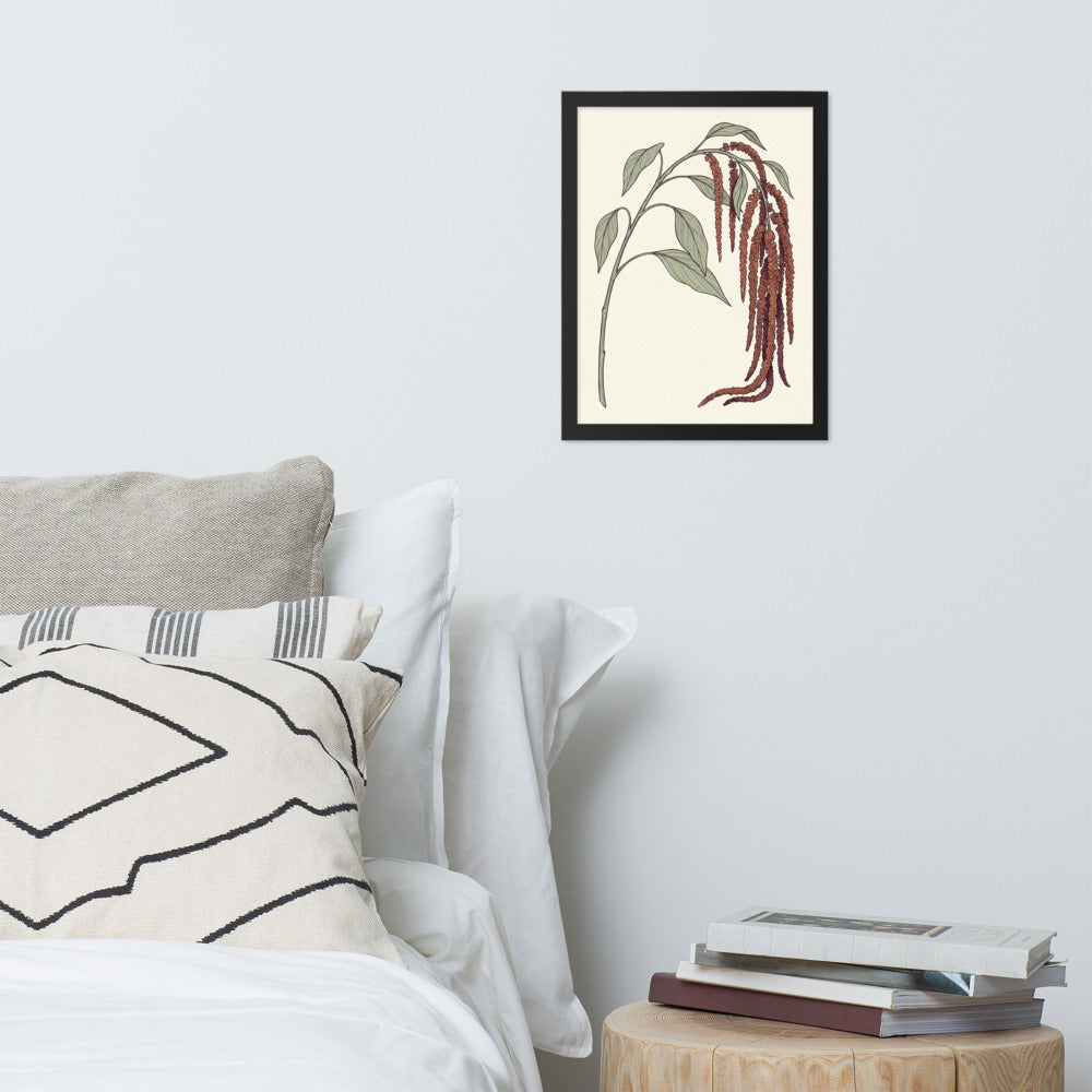 Affiche amarante illustration botanique encadrée 30×40 cm, tons terracotta et bordeaux sur fond ivoire crème, accrochée dans un salon à décoration bohème épurée