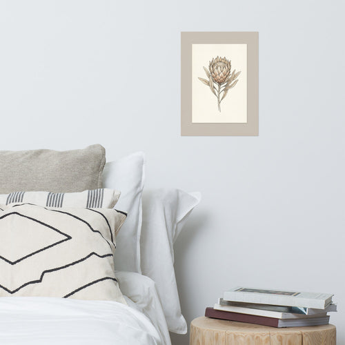 Affiche botanique protea au trait fin noir sur fond ivoire crème, accent terracotta sur les bractées, encadrée au-dessus d'une console en bois naturel dans un salon minimaliste