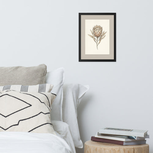 Affiche botanique encadrée 30x40 représentant une tige de protea king au trait fin noir sur fond ivoire crème, accrochée sur un mur clair dans un intérieur bohème aux tons beige et terracotta