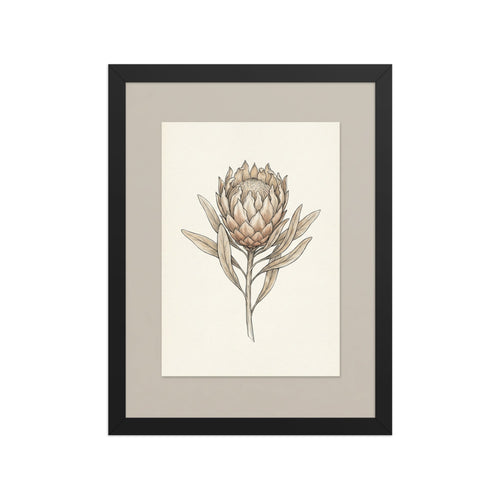Affiche botanique encadrée – Protea King