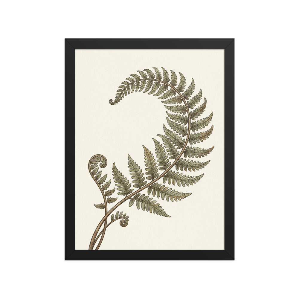 Poster fougère encadré décoration murale, illustration botanique style gravure naturaliste sur papier mat galerie, cadre bois 30×40 cm, fond crème chaud, vue packshot