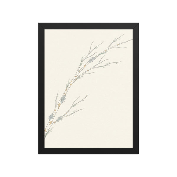Poster encadré zen nature minimaliste représentant une branche de bouleau blanc avec lichens, impression giclée sur papier mat galerie, cadre bois 30×40 cm, fond blanc studio