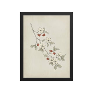 Affiche murale botanique scandinave – Cornouiller encadré
