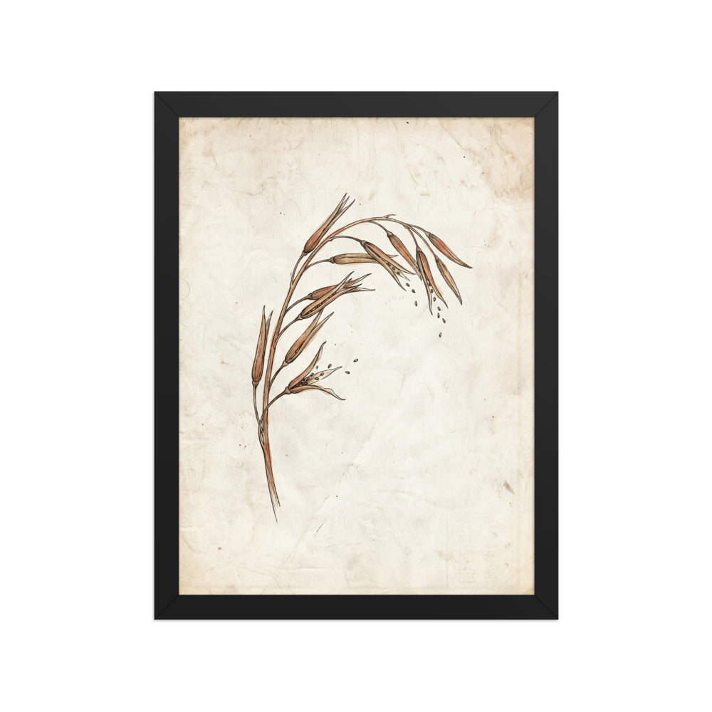 Poster encadré illustration botanique minimaliste représentant une branche de sésame sauvage en aquarelle terracotta et ivoire sur fond parchemin, cadre bois 30×40 cm sur fond blanc