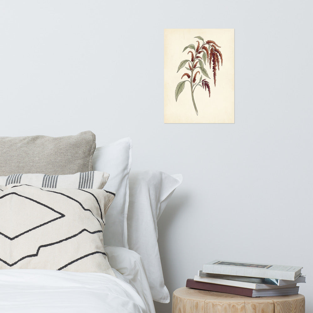 Poster plante bohème terracotta affiché au-dessus d'un buffet en bois clair, représentant une tige d'amarante aux grappes bordeaux sur fond ivoire crème, encadré en chêne naturel