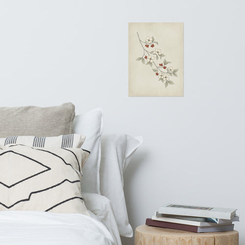 Affiche botanique minimaliste – Cornouiller Parchemin - vue 2