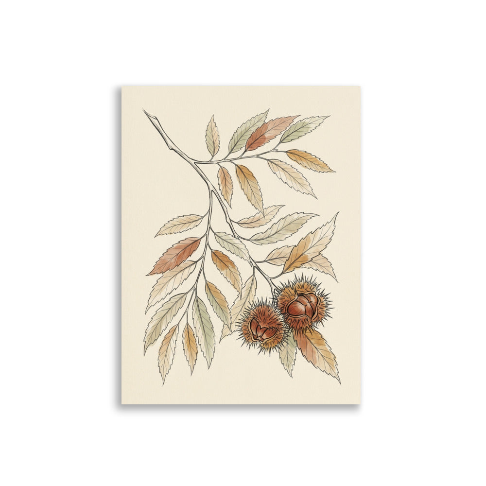 Affiche botanique châtaignier en illustration linéaire fine, branche aux feuilles dentelées et bogues épineuses sur fond crème, palette terracotta et vert sauge – format 30×40 cm, papier mat galerie