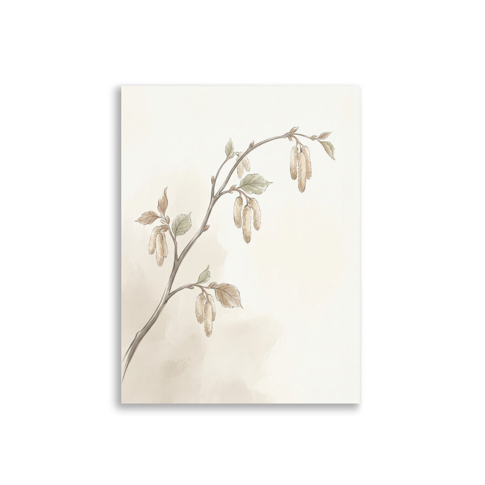 Affiche botanique minimaliste représentant une branche de noisetier aux chatons duveteux, illustration en lignes épurées sur fond blanc, palette beige-taupe-vert sauge, format 30×40 cm