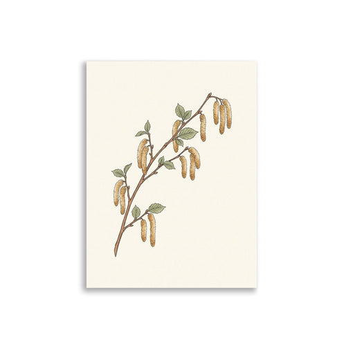 Affiche botanique minimaliste – Branche de noisetier