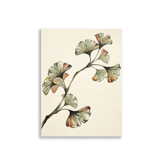 Affiche Botanique Ginkgo Biloba – Zen & Galerie