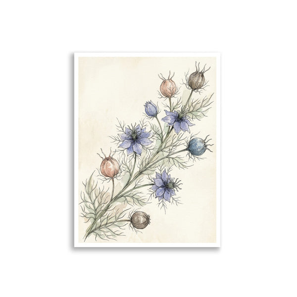 Affiche botanique aquarelle représentant une branche de nigelle de Damas aux fleurs bleu-violet poudré et capsules sphériques, imprimée en haute définition sur papier mat épais qualité galerie, format 30x40 cm, fond ivoire texturé